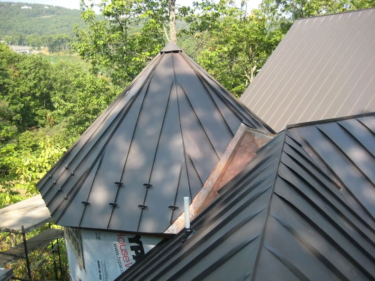 Professional Gutter Cleaning by Craftsman Roofing in Park Santiago
